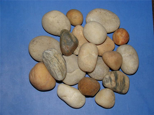 草莓污视频APP下载