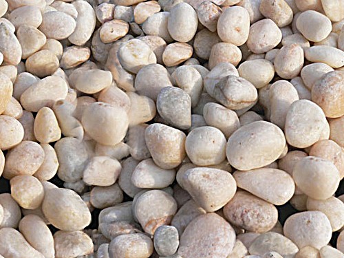 草莓污视频APP下载种类